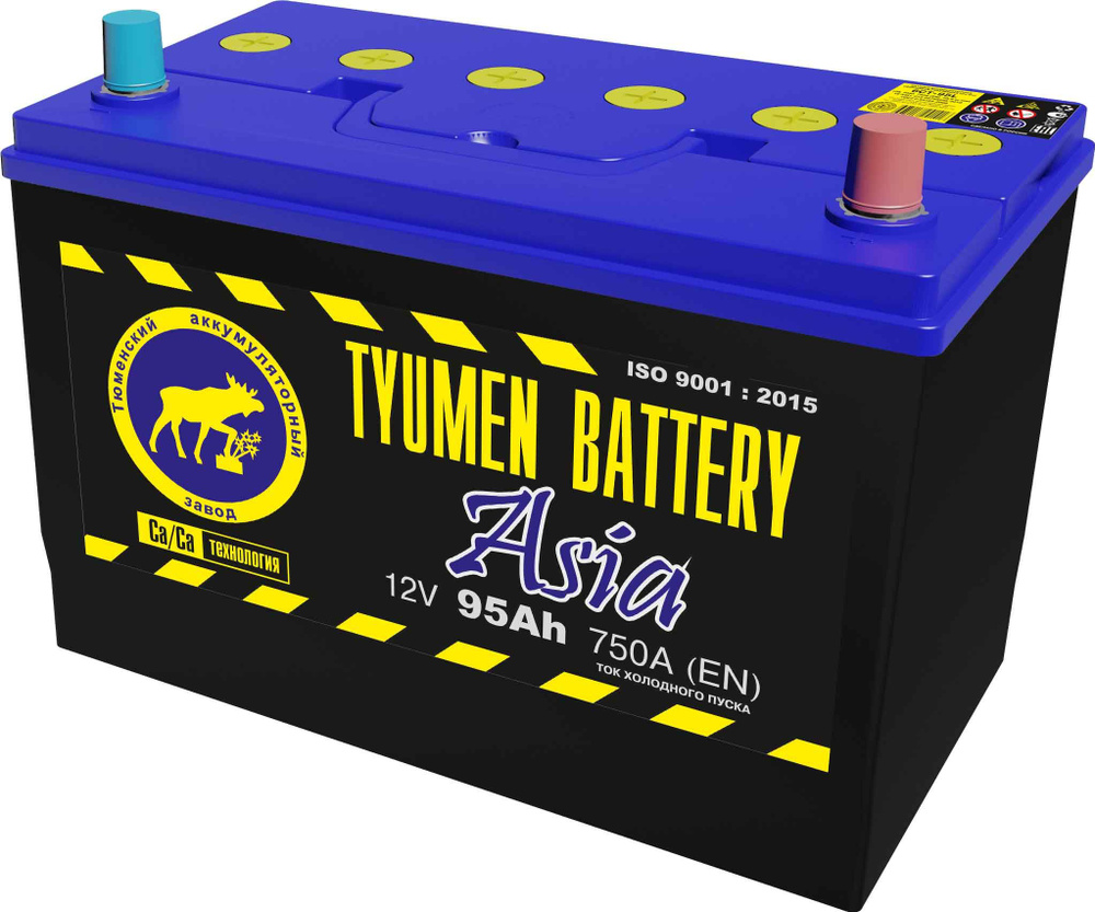 Аккумулятор автомобильный Tyumen Battery Тюмень ASIA 95 A.ч_Обратная (-/+)  купить по выгодной цене в интернет-магазине OZON (233469067)