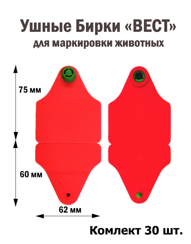 Ушные бирки для КРС 30 шт 75*62/60*62 мм (без номеров, чистая) #1