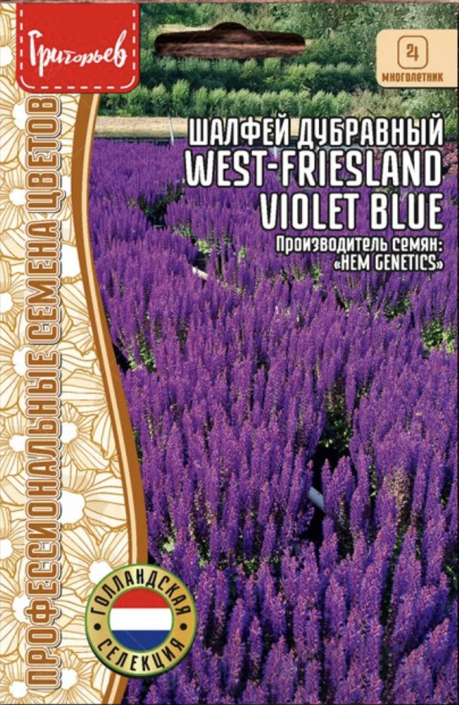 Шалфей Дубравный West-Friesland Violet Blue, 1 пакет, семена 20 шт, ЧК #1