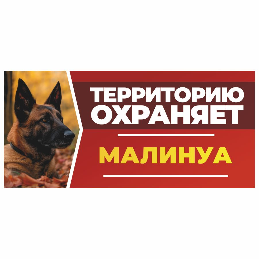 Табличка, DANGER DOG, Малинуа, на забор, 30см х 14см