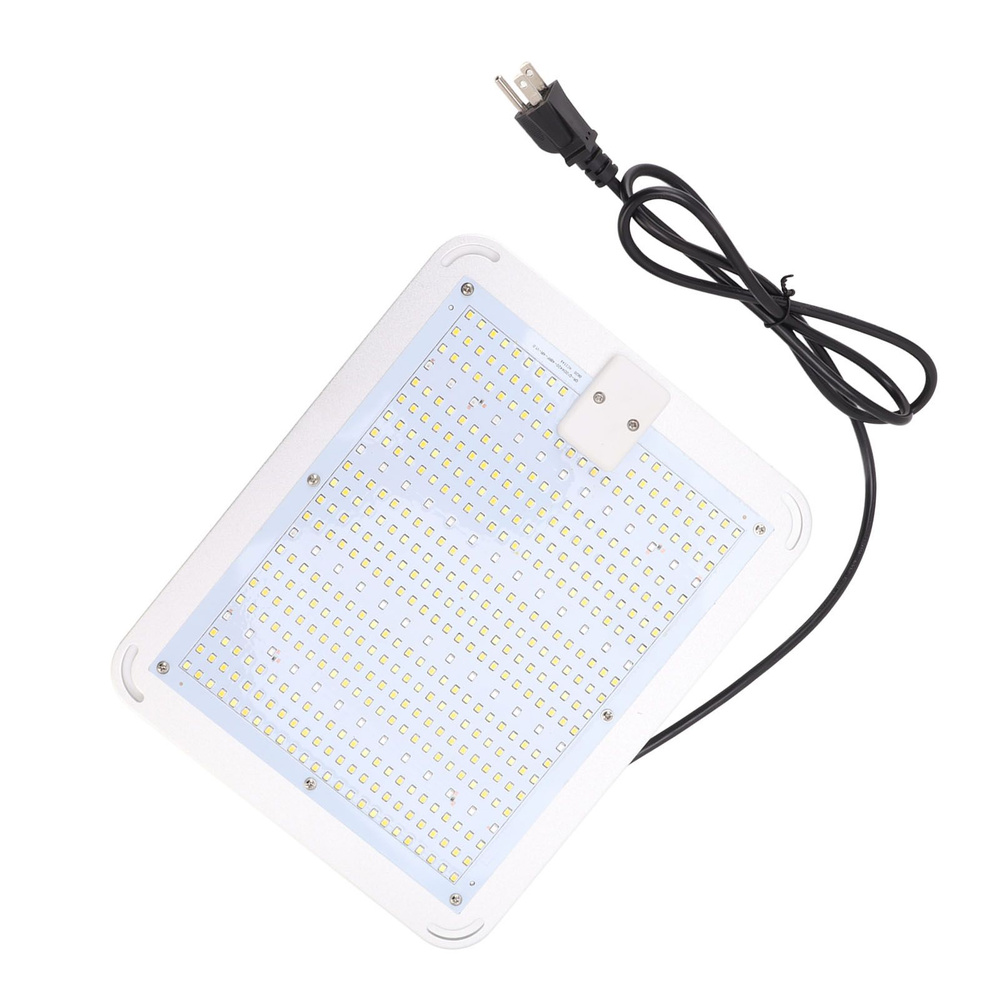 Фитомодуль #1