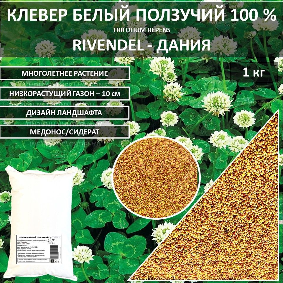 Газон 100 % Клевер белый Rivendel DlF Ривендел ДЛФ Ривендел 1 кг газонная  трава семена