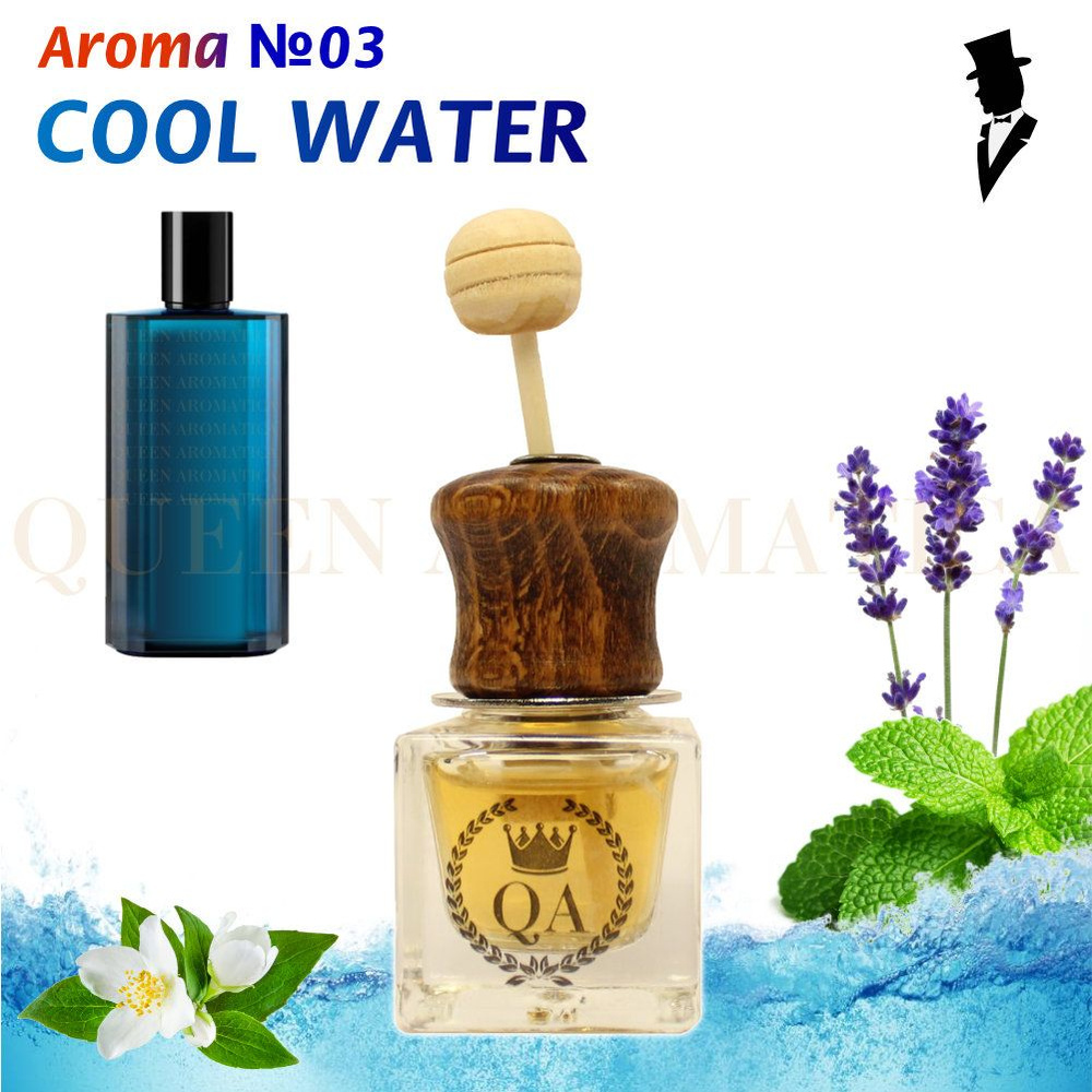 Queen Aromatica Ароматизатор автомобильный Diffuzor - Cool Water /  Автопарфюм в машину