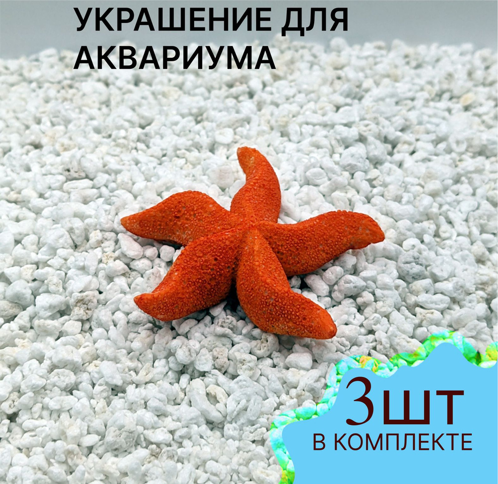 Морская звезда Asterina для аквариума, размер декорации 63х63х16 мм, 3 шт  #1