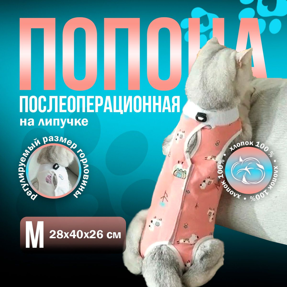 Попона послеоперационная для собак и кошек, бандаж после операции и ...