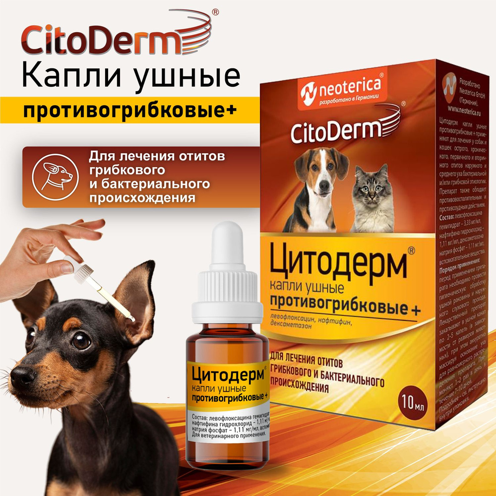 Капли ушные CitoDerm противогрибковые для кошек и собак 10 мл - купить с  доставкой по выгодным ценам в интернет-магазине OZON (175858949)