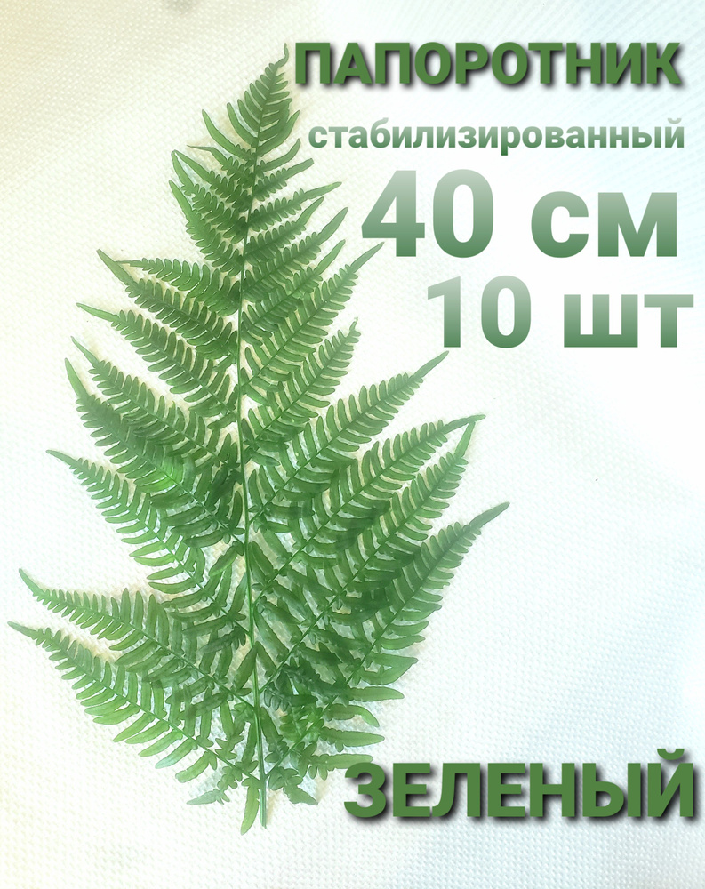 Сухоцветы, 10 шт #1