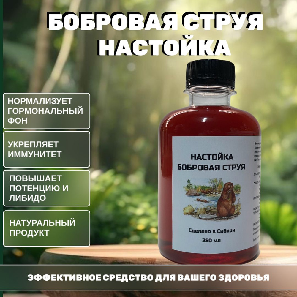 Бобровая струя настойка 250 мл - купить с доставкой по выгодным ценам в  интернет-магазине OZON (916439953)