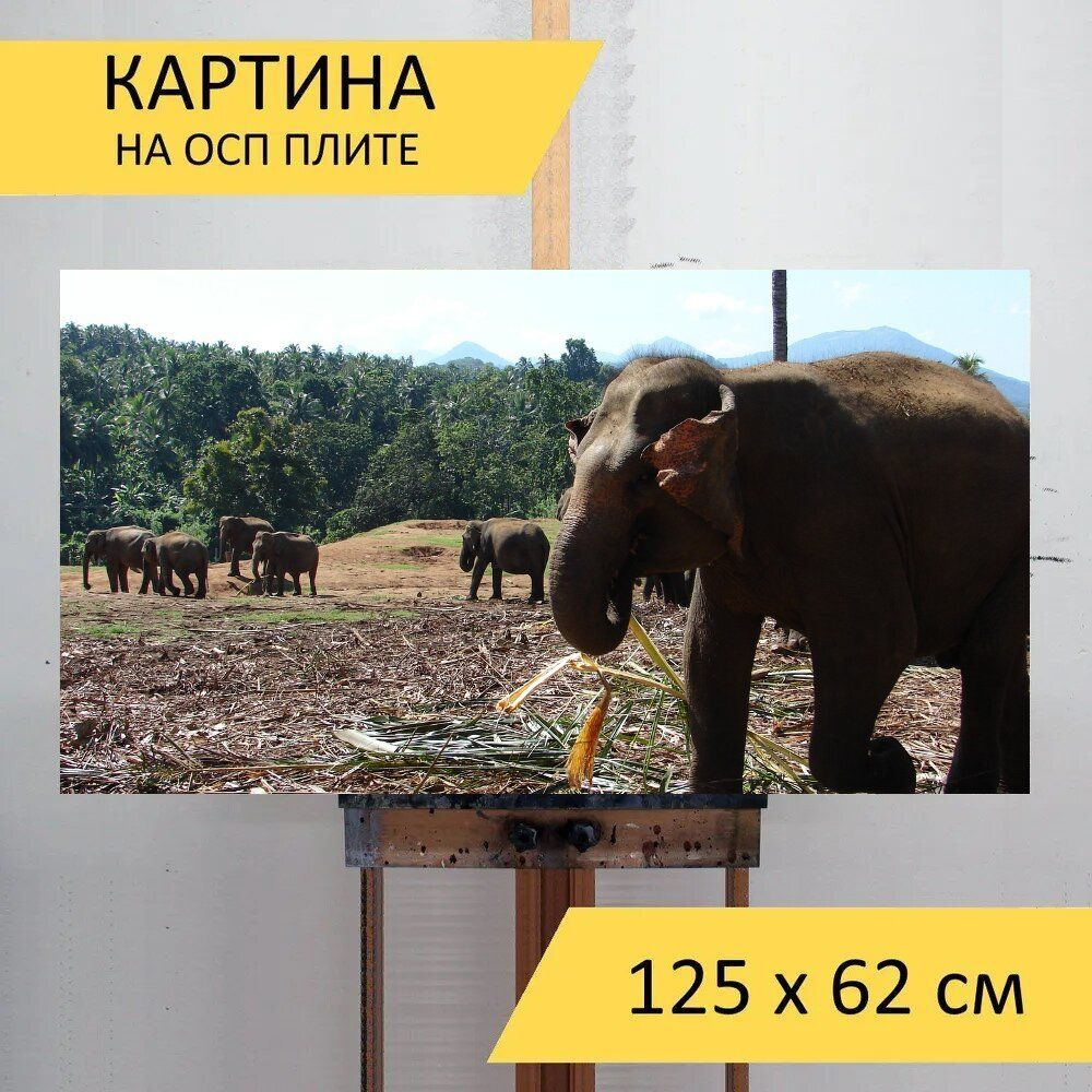 LotsPrints Картина "Слон, детский дом, канди 50", 125  х 62 см #1