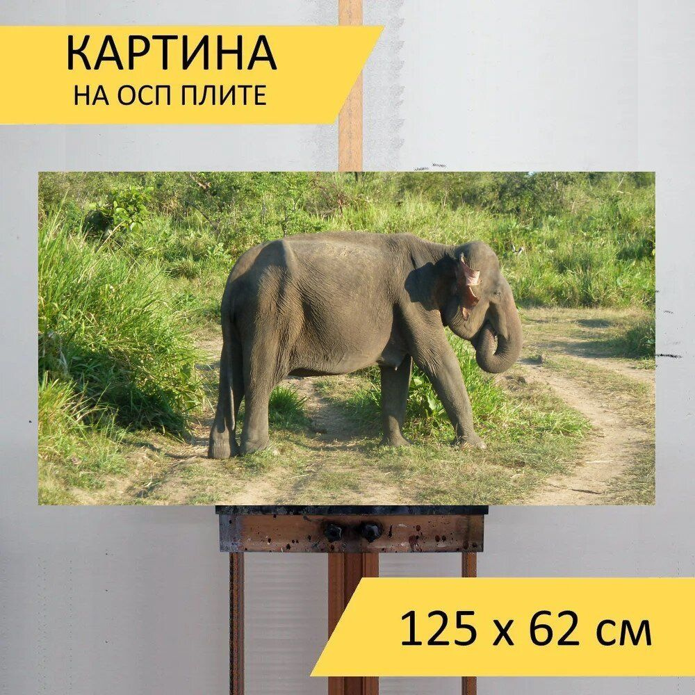 LotsPrints Картина "Слон, шри ланка, национальный парк 93", 125 х 62 см  #1