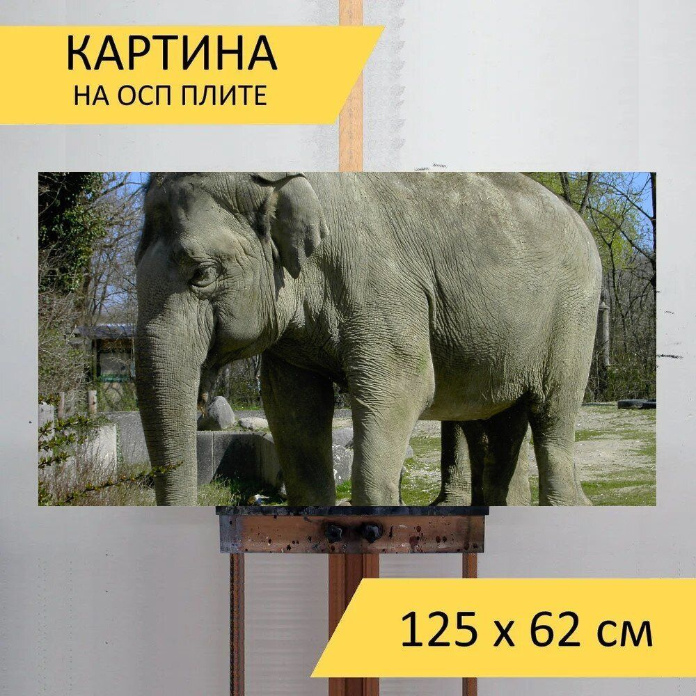 LotsPrints Картина "Слон, африке, саванна 21", 125  х 62 см #1