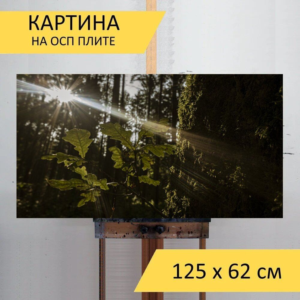 LotsPrints Картина "Лес, подсветка, солнце 19", 125  х 62 см #1