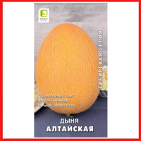 Основные принципы посадки рассады