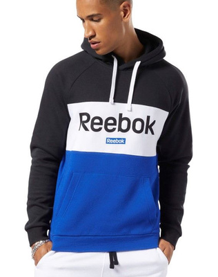 Reebok Te Linear Logo Oth Hoodie OZON