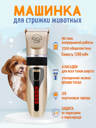 Axiepet отзывы