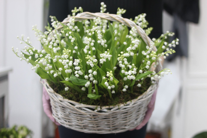 Ландыш, цвет зеленый, белый, 51 шт купить по выгодной цене в интернет ...