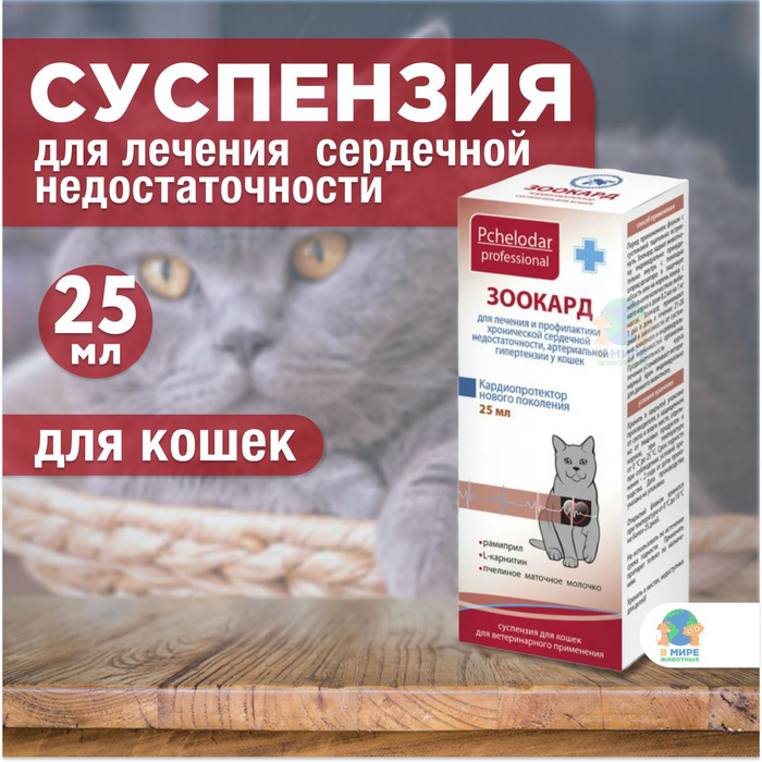 Зоокард для кошек