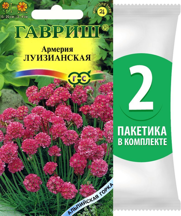 Как выглядит армерия. Армерия приморская луизианская. армерия приморская семена. армерия приморская монинг стар дип роуз.