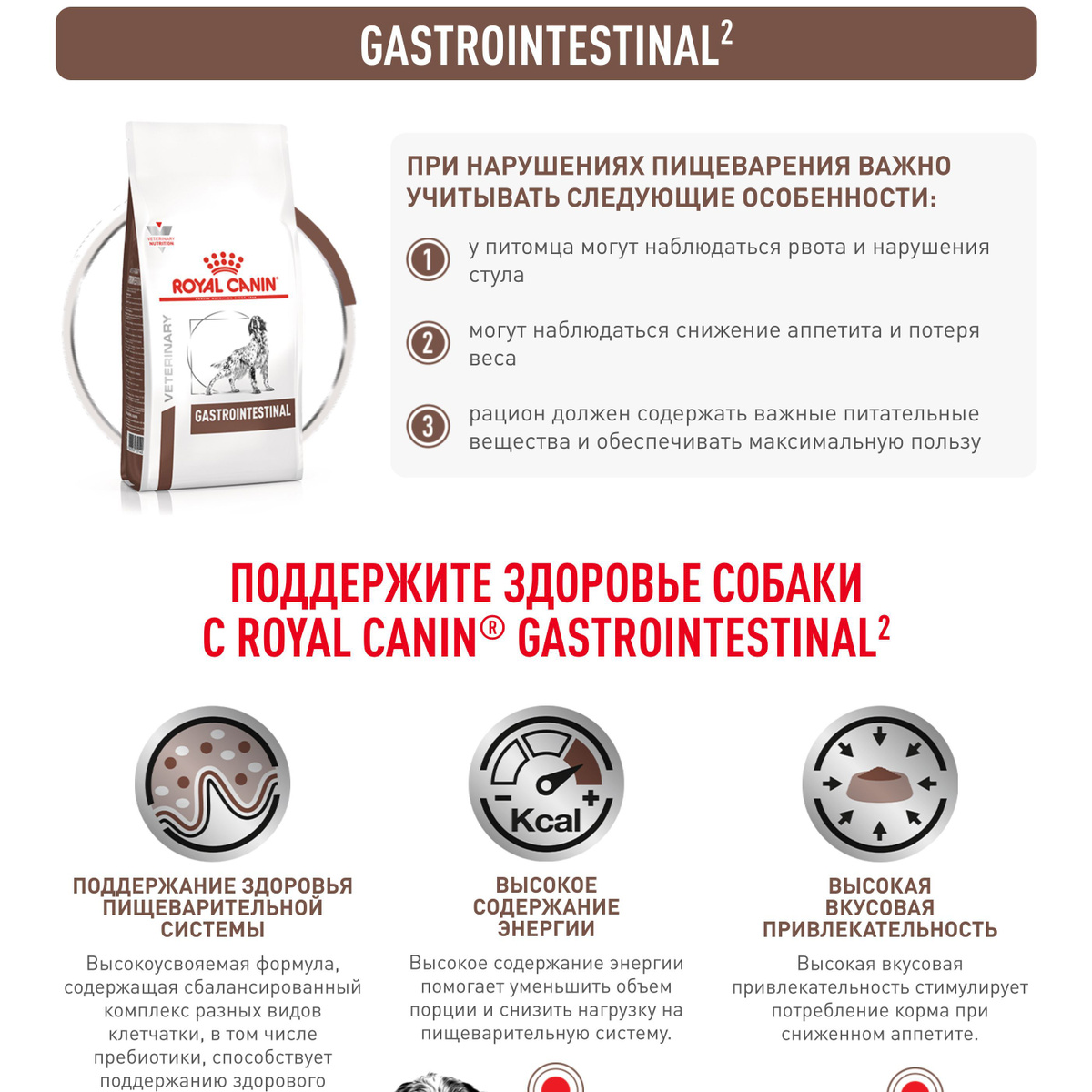 Royal Canin Gastrointestinal (Роял Канин Гастроинтестинал со вкусом ...