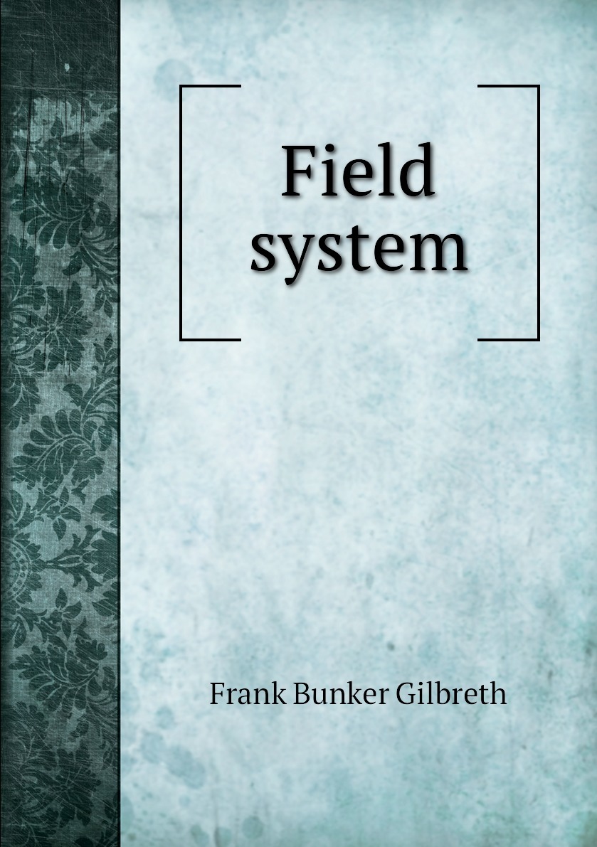 Field system in Cloghaderreen