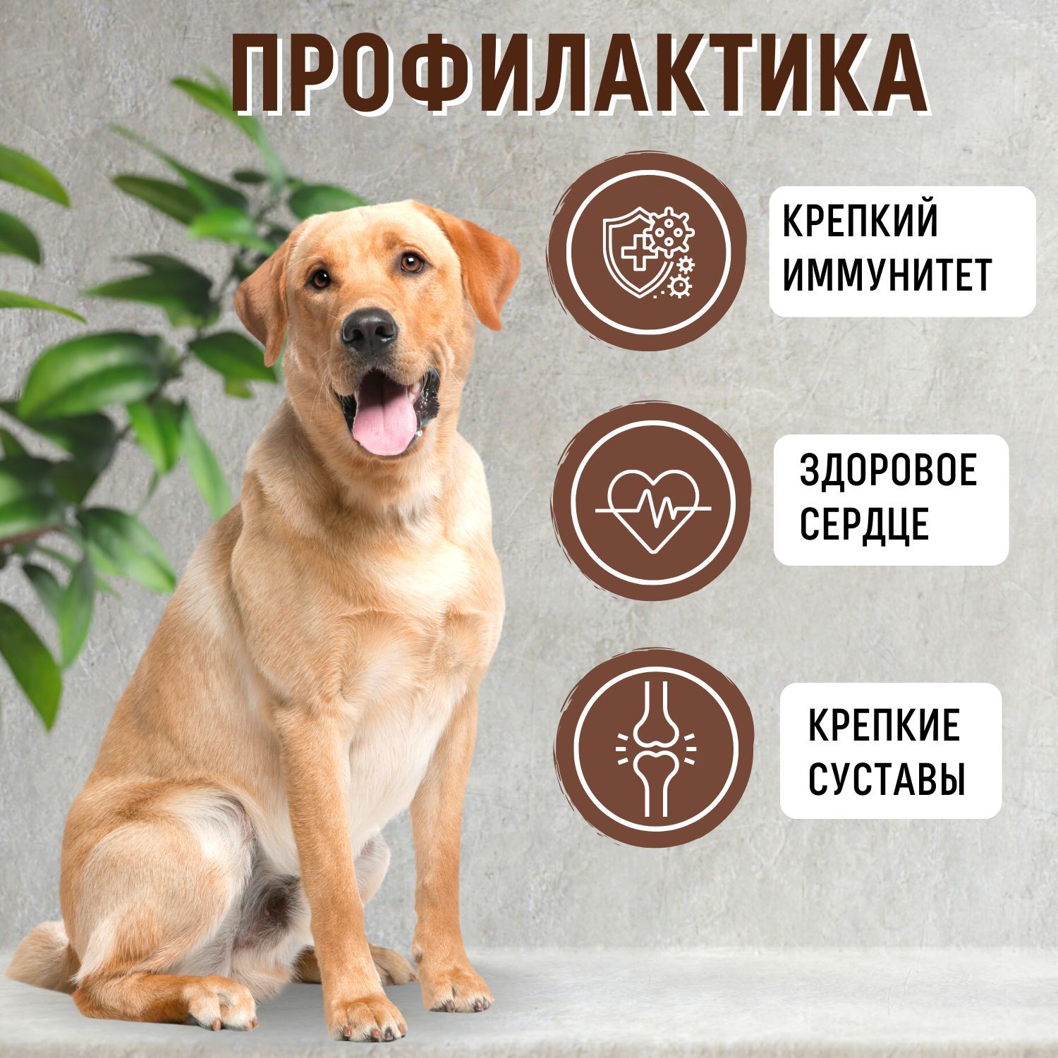 Grandorf для собак корм, ГРАНДОРФ БЕЗ ЗЕРНОВОЙ, утка с индейкой для ...