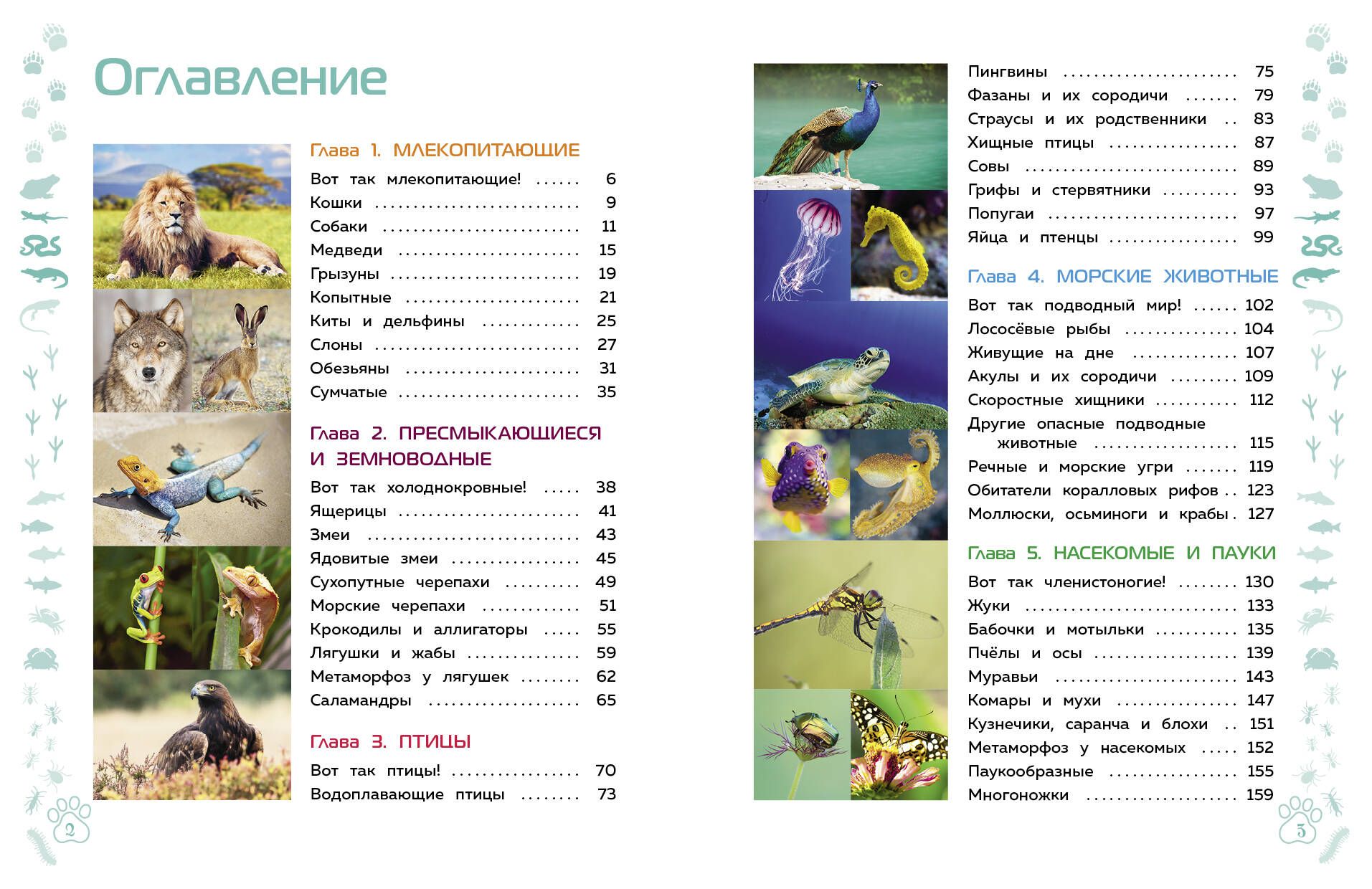 Животные. Большая детская энциклопедия | Reference Book - Ozon image 2