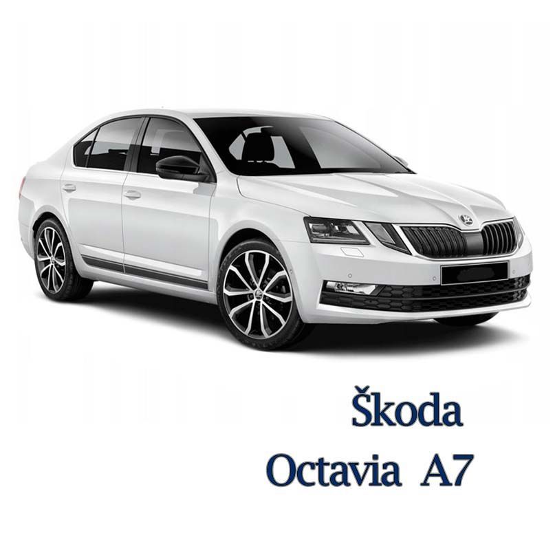 2016 Škoda Octavia Инструкция по эксплуатации (in Russian)