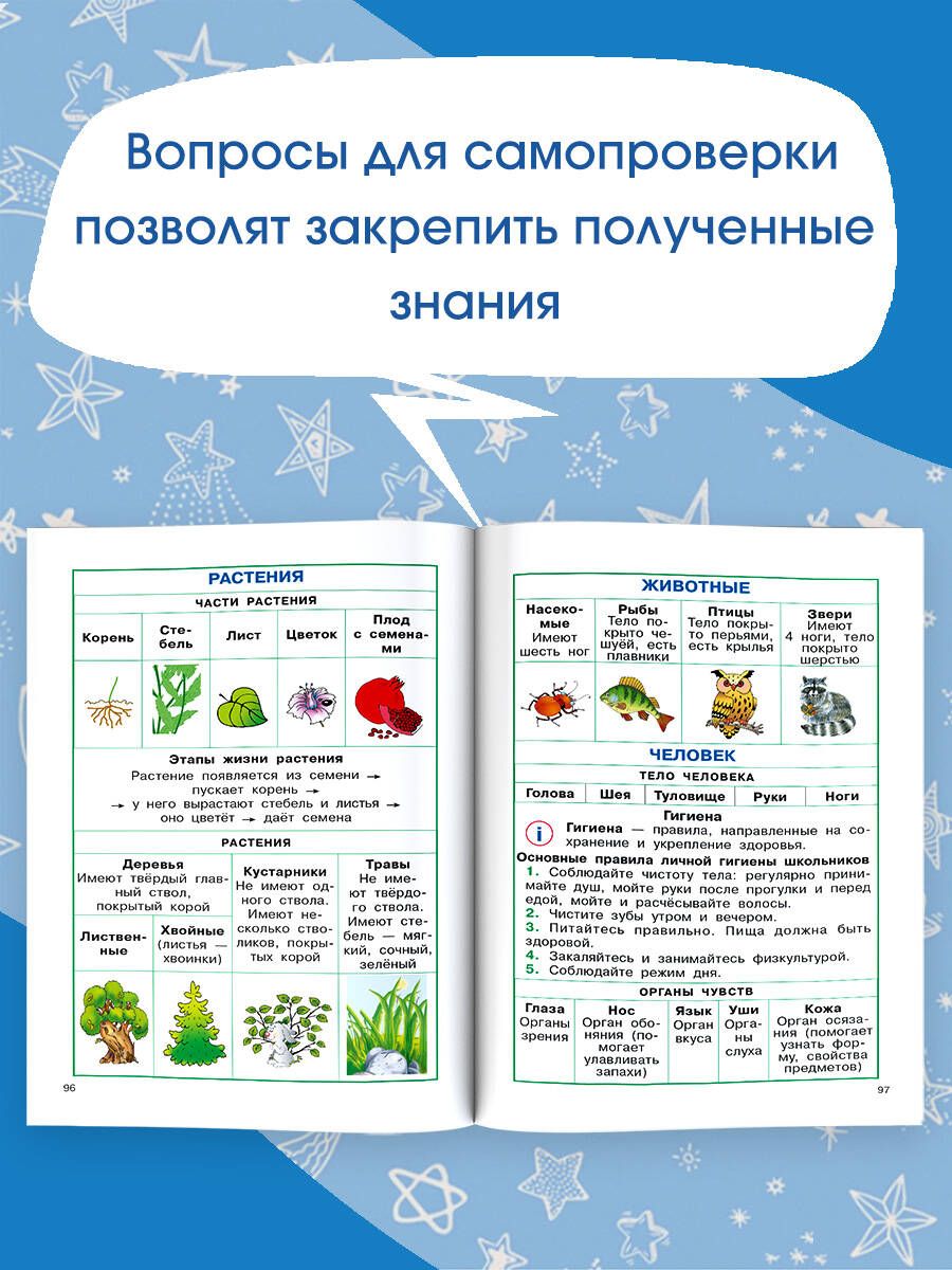Полный курс начальной школы. Русский язык, математика, окружающий мир | Full Course of Primary School. Russian Language, Mathematics, Surrounding World - Ozon image 2