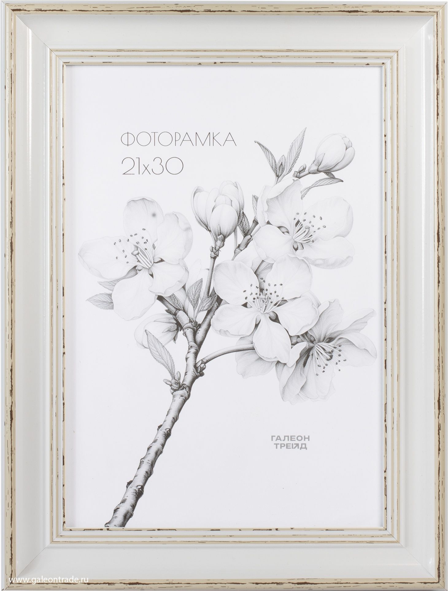 Фоторамка пластиковая 21 х 30 см