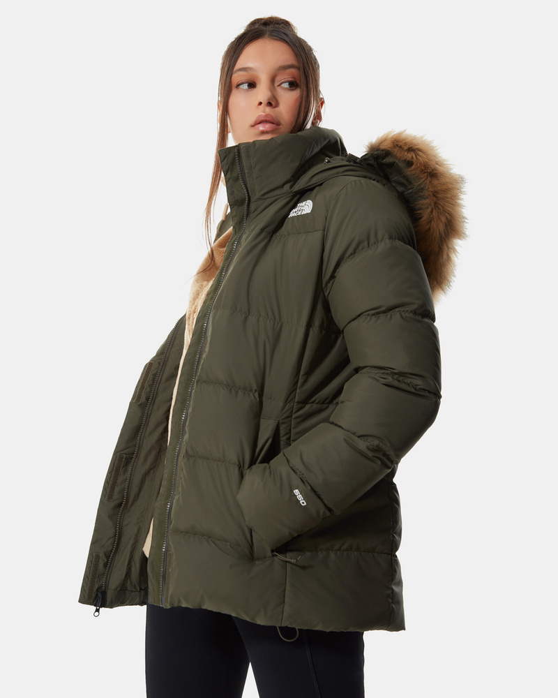 North face gotham green online