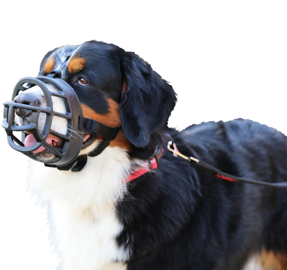 Намордник для собак COA Baskerville Ultra, Size6, 13х41см  (Великобритания) - купить с доставкой по выгодным ценам в интернет-магазине  OZON (168591813)