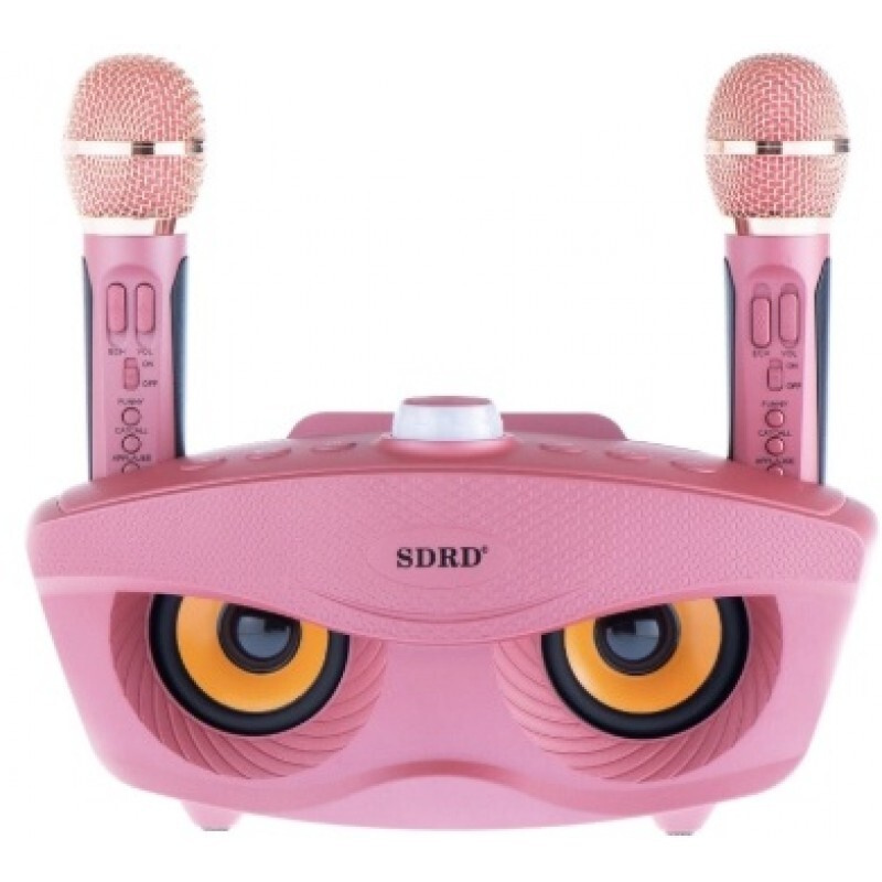 Стильная портативная колонка караоке SD RD SD-306 Pink - купить с ...