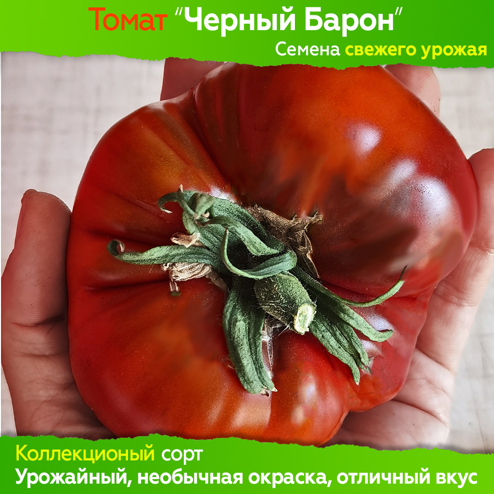 Семена томата Черный Барон - 10 шт, свежий урожай, коллекционный сорт  #1