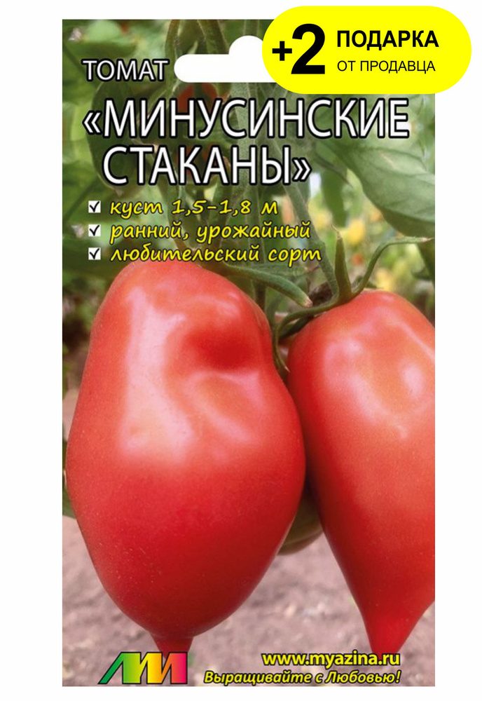 ОЖИДАНИЯ И РЕАЛЬНОСТЬ: МИНУСИНСКИЕ ТОМАТЫ! - YouTube