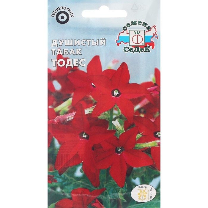 Табак душистый Nicotiana Avalon Mixed