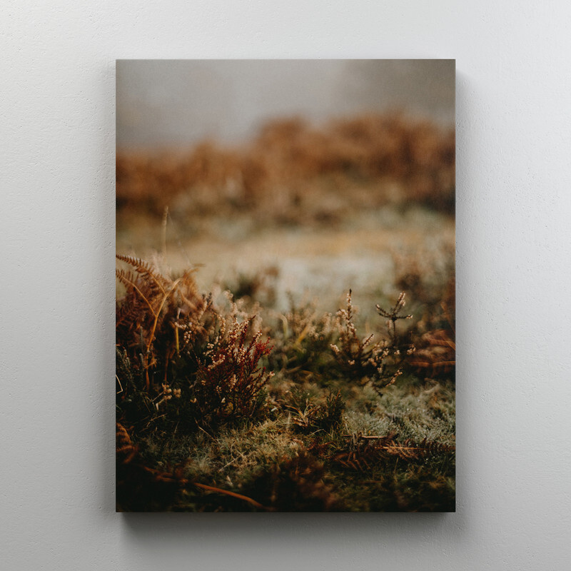Интерьерная картина на холсте Пейзаж - сухая трава, в скандинавском стиле  размер 60x80 см - купить по низкой цене в интернет-магазине OZON (570466359)
