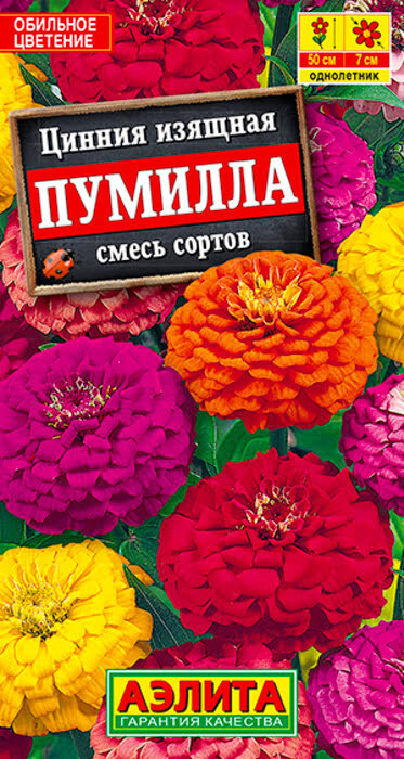 Семена Цинния Пумилла, смесь окрасок (0,3г) - Аэлита #1