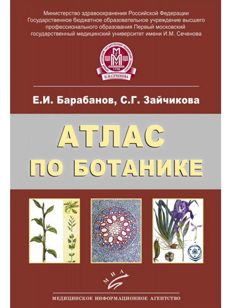 Атлас по ботанике. Анатомия, морфология и систематика высших растений ...