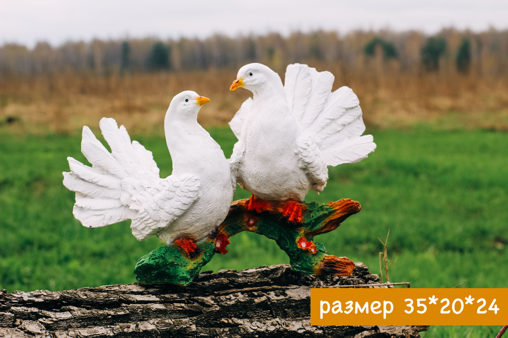 Голуби белые #1