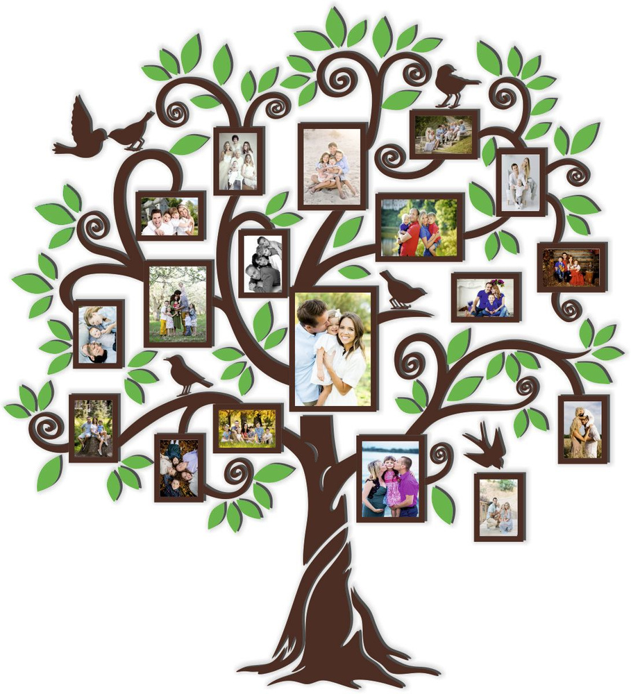 Генеалогическое дерево картинки