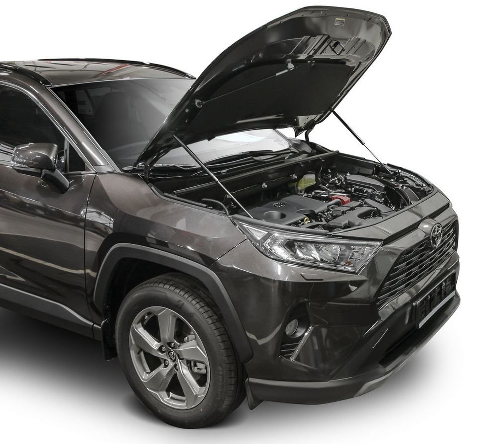 Газовые упоры капота АвтоУпор для Toyota RAV 4 XA50 2019-н.в., 2 шт.,  UTORAV031 - Автоупор арт. UTORAV031 - купить по выгодной цене в  интернет-магазине OZON (1218358194)