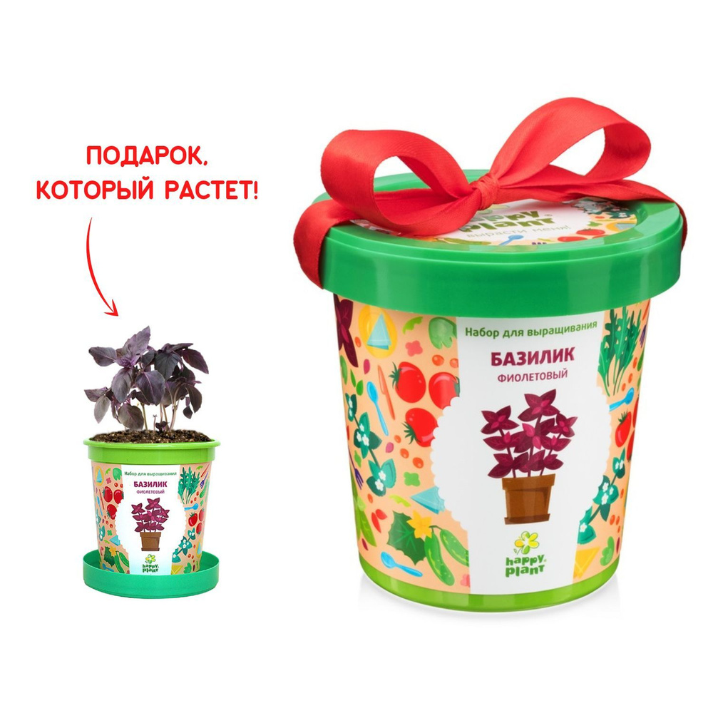 Набор для выращивания растений Happy Plant Базилик фиолетовый, семена  комнатных растений в подарочном горшке