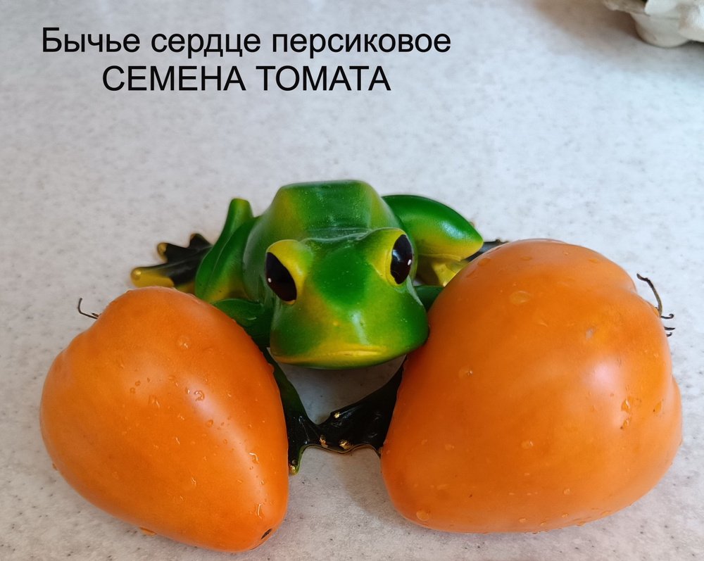 Семена #1