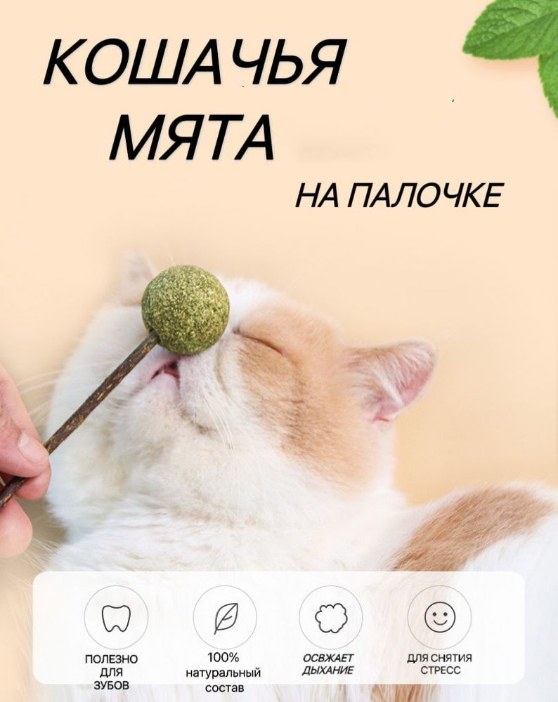 Игрушка для кошек из натуральной кошачьей мяты шарик/Мятный мячик/Шар из  кошачьей мяты