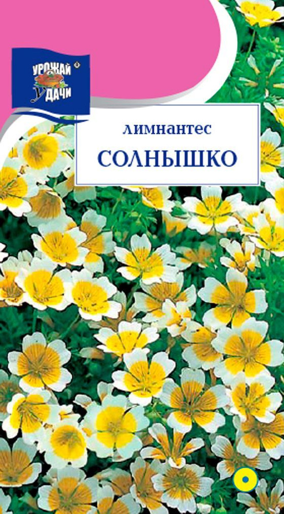 Лимнантес СОЛНЫШКО для альпинария и рокария (Семена УРОЖАЙ УДАЧИ, 0,2 г семян в упаковке)  #1