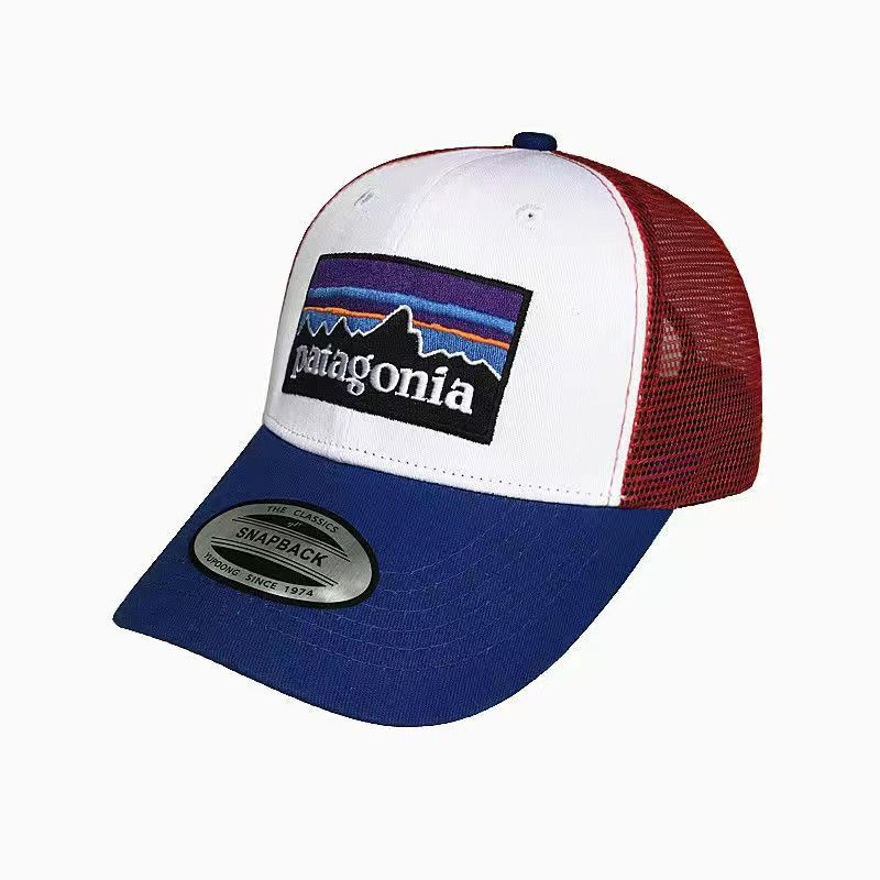 Бейсболка Patagonia #1