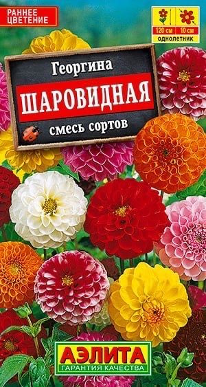 ГЕОРГИНА ШАРОВИДНАЯ. Семена. Вес 0,2 гр. Великолепная быстрорастущая смесь.  #1