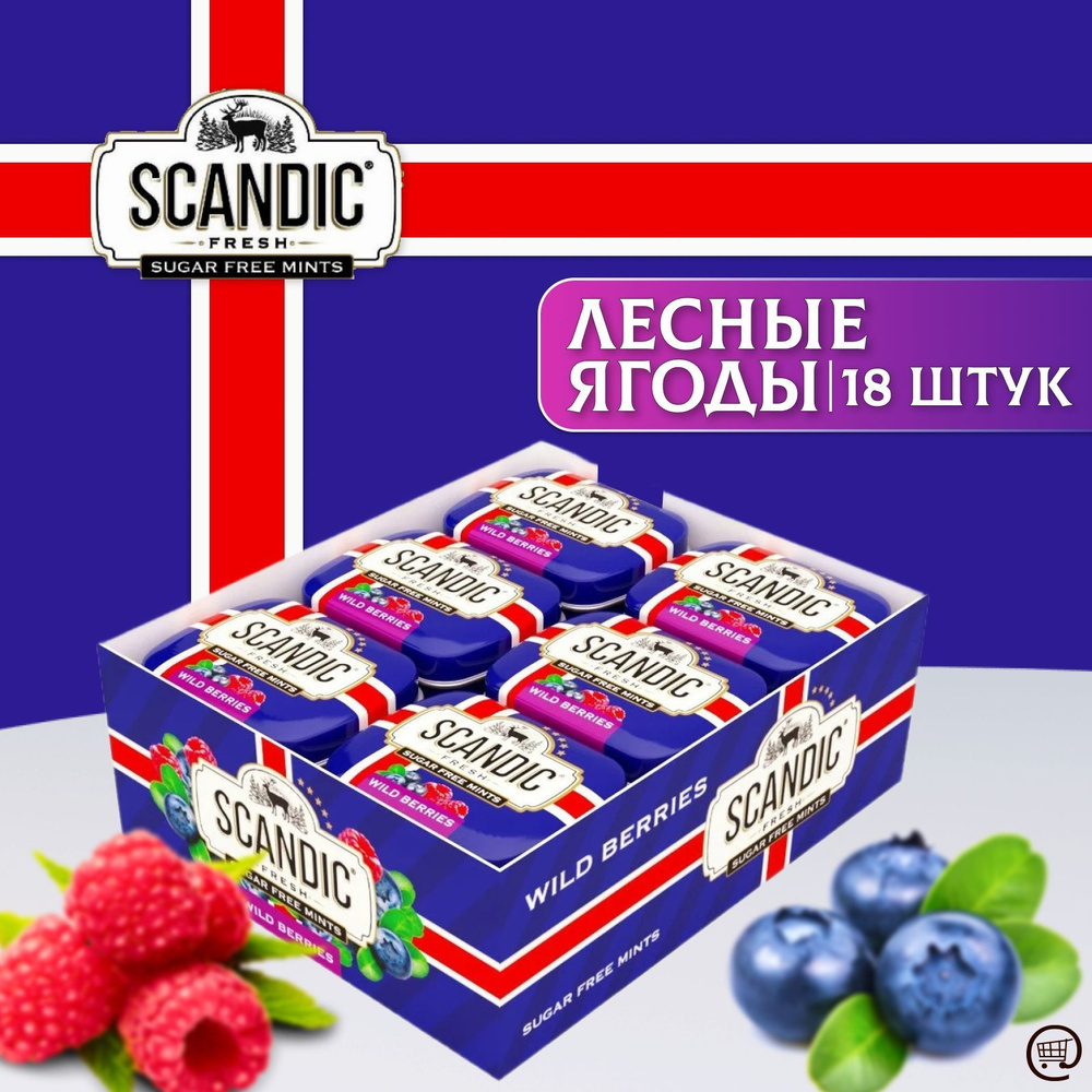 Освежающие конфеты СКАНДИК Лесные Ягоды 18 шт. по 14г., SCANDIC WILD  BERRIES, Без Сахара, Драже - купить с доставкой по выгодным ценам в  интернет-магазине OZON (883782706)