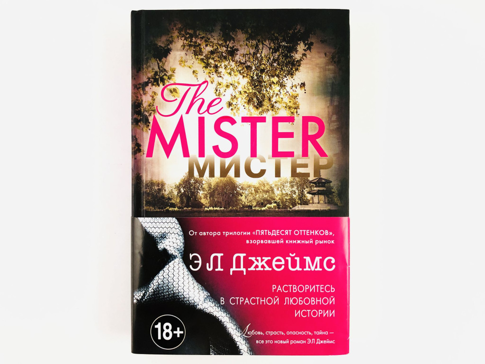 Мистер. The Mister | Джеймс Эрика - купить с доставкой по выгодным ...