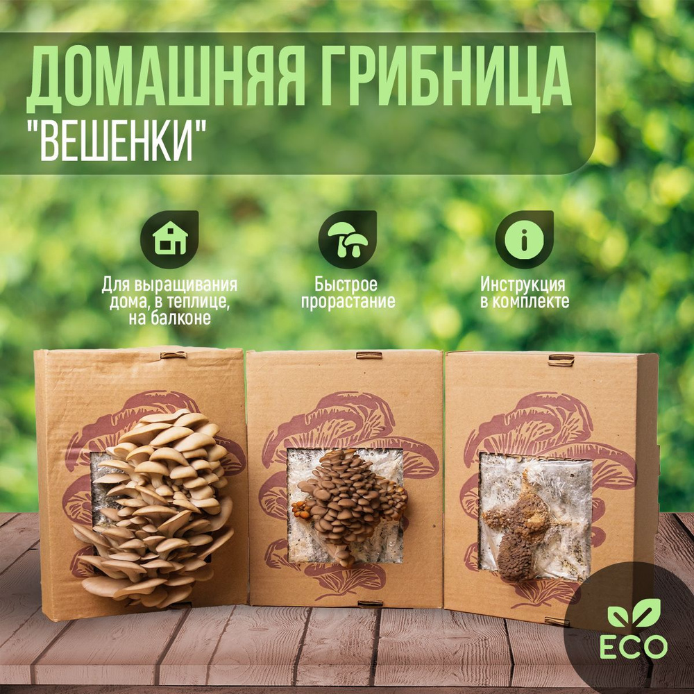 Выращивание мицелия грибов в домашних условиях l Русские Семена - интернет-магазин.